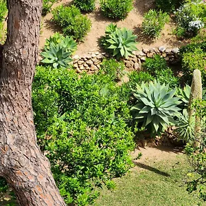 Elena Flat A Little Paradise Right On The Sitio de Calahonda
