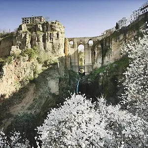 Algaida Calahonda Sitio de Calahonda